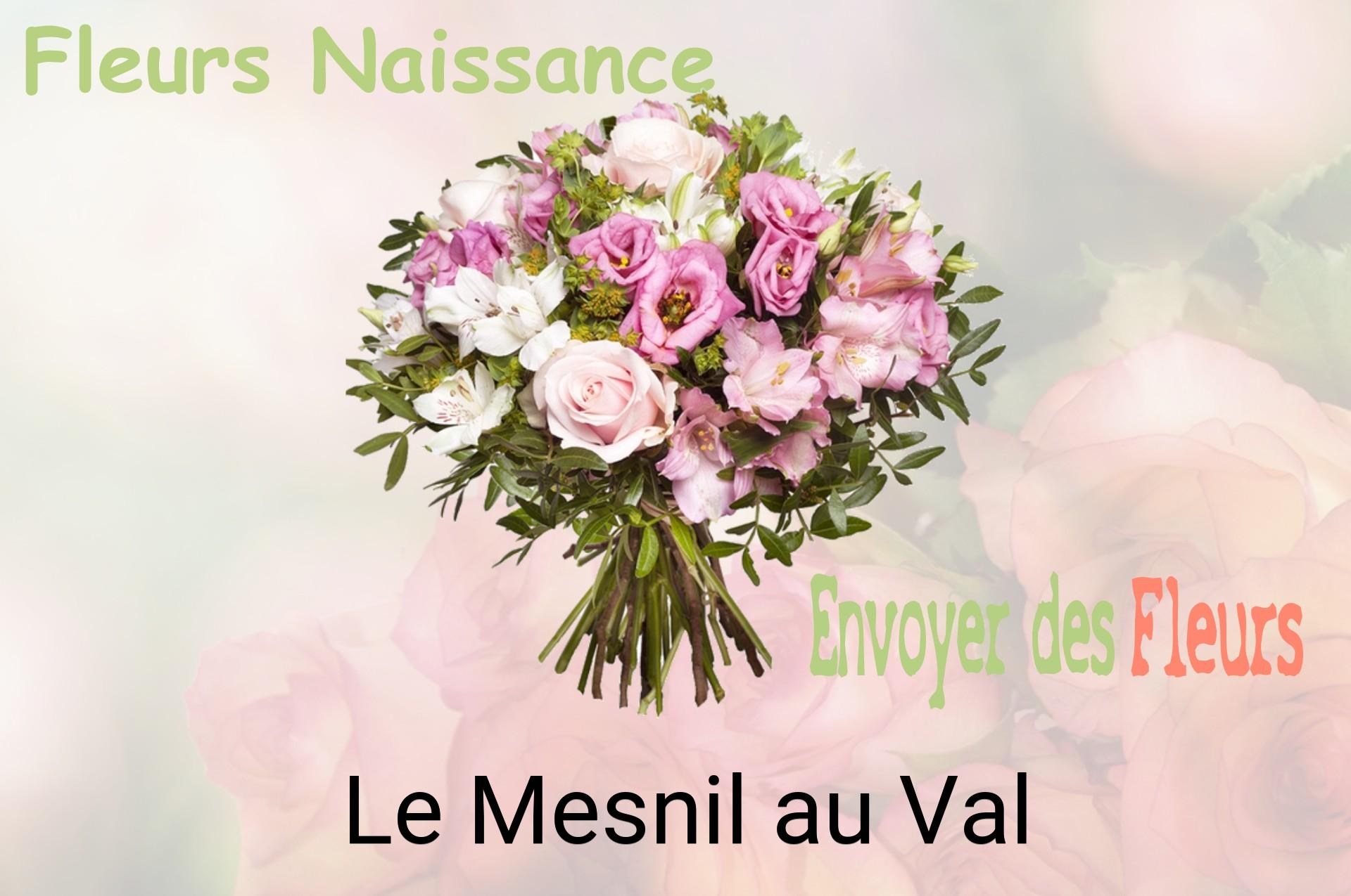 Bouquet de fleurs de naissance livré à Le Mesnil-au-Val